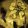 Cooksnap dari diana rosano untuk resep Ikan patin kuah kuning