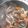 Cooksnap dari MD's Kitchen untuk resep Kerang Hijau Saus Tiram