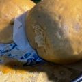 Bay Long Ou 的 【大同電鍋】古早黑糖饅頭 cooksnap