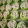Cooksnap dari Noor Cece untuk resep Putu ayu