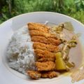 Cooksnap dari natalia ayu untuk resep Chicken Katsu Curry (Bumbu Instan + Takaran Sendok)