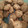 El cooksnap de Miriam* cuando hizo 🍪Galletas de mantequilla y pepitas de chocolate🍫.