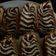 Meena Parajuli का कुकस्नैप जब उन्होंने ज़ेबरा चॉकलेट केक (Zebra chocolate cake recipe in hindi) बनाया था।