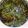 Khadija Abdullahi's cooksnap of when they made Vegetable soup.
