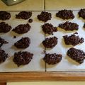 jjow's cooksnap of when they made Peanut Butter, Coconut and Chocolate NO BAKE Cookies.