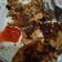 Cooksnap dari Dini Lestari untuk resep Omelet Kornet dan Bawang Bombay
