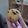 Cooksnap dari Bunda@fatma untuk resep Muffin toping kismis
