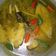 Cooksnap dari Hana Shallu untuk resep Mujair Kuah Kuning