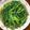 庭秀 的 炒XO醬A菜 cooksnap