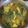 ÝTumpa Bose's cooksnap of when they made Mix veg.