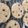 El cooksnap de Antoo Obiols cuando hizo Galletas cookies crocantes con chips de chocolate.