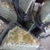 Cooksnap dari rafika untuk resep Greentea Mille Crepes Cake / Matcha Crepe
