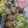 Cooksnap dari dapur Airin untuk resep 05. Asinan Sayur