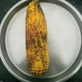 Richa Shahpatel's cooksnap of when they made શેકેલો મકાઈ (Shekelo Makai Recipe In Gujarati).