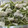 El cooksnap de rober_rd cuando hizo Espaguetis al pesto de rúcula.