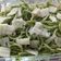 El cooksnap de rober_rd cuando hizo Espaguetis al pesto de rúcula.