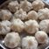 Pinal Parmar's cooksnap of when they made મોદક(મહારાષ્ટ્ર સ્ટાઇલ ઉકડી છે મોદક) (Modak Recipe In Gujarati).