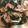 El cooksnap de katia_1966 cuando hizo Espaguetis con salsa espinacas y nueces.