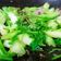 Cooksnap của QUÂN NGUYỄN khi họ làm theo món Giá mướp xào thịt bò