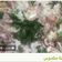 صورة من Rasha Othman، شاركها بعد تجربة وصفة فتة البيذنجان