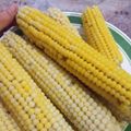 Сooksnap від Ірина Кравчик, який(а) приготував(ла) Вареная кукуруза.