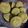Cooksnap dari ida farida untuk resep Pukis (lembut dan menul)