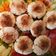 Cooksnap dari ade yulida untuk resep Wingko Babat Keju #ketopad