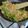 El cooksnap de González yamila cuando hizo Pechugas de pollo al estilo oriental.
