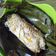 Cooksnap dari Yessy Kristiani untuk resep Nasi Bakar Ayam MPASI 12m+