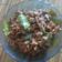 Cooksnap dari kimmy hafsah untuk resep Tumis Pedas Usus Ayam