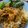 Cooksnap dari Kalis Prahara untuk resep Mie Ayam Solo