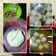 Cooksnap dari Mam Gavy untuk resep Baso aci