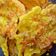 Cooksnap dari Octaviaa Aby untuk resep Peyek udang kriuk