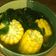 Cooksnap dari Oktaviana Saputri untuk resep Sayur bayam bening (kunci)
