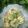 Cooksnap dari 🍀nashifa🍀 untuk resep Bakwan kelor kriuk