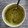 El cooksnap de cynthia cuando hizo Hummus de arvejas😃.