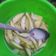 Cooksnap dari Zhuratny Waani untuk resep Manisan Mangga