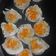 Cooksnap dari Litha Setiawan untuk resep Siomay Ayam Udang