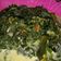 Cooksnap dari Ainasa Zukeru Part II untuk resep Daun Singkong Kuah Santan
