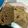 Cooksnap dari putri perdana untuk resep Whole-Wheat Bread / Roti Gandum No Mixer dan No Ulen Lama2☺️