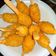 Cooksnap dari Bundeta untuk resep Kaki Naga