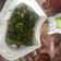 Cooksnap dari Anisha untuk resep Tumis daun singkong teri