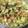 El cooksnap de DelicIANNcook cuando hizo Crema de huevo cocido (aperitivo).