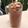 Cooksnap dari Pipi untuk resep MILO DINOSAUR/Es Susu Milo