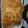 El cooksnap de ludmi cuando hizo Tortas Fritas saladas.