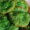 Cooksnap dari Ria_Ceria_Key untuk resep Cucur Pandan