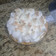 El cooksnap de ariananunez cuando hizo Lemon Pie.