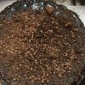 صورة من ًٍووو، شاركها بعد تجربة وصفة أشكال كاتو
