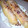 El cooksnap de italo bottarelli lopez cuando hizo Strudel de manzana.