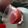 Tal Har's cooksnap of when they made Fizzy Frozen Strawberry Lemonade.